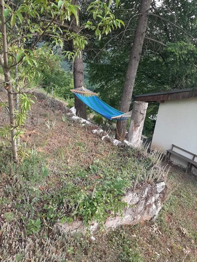 Vila Eva Meduvrsje Exteriör bild