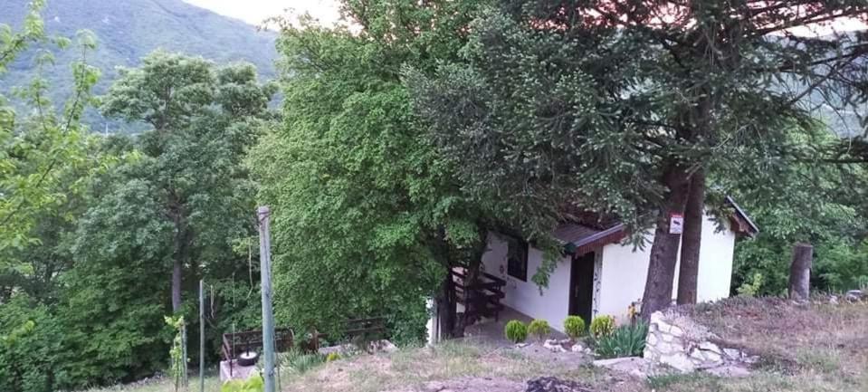 Vila Eva Meduvrsje Exteriör bild