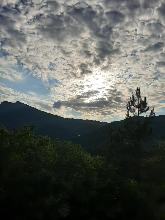 Vila Eva Meduvrsje Exteriör bild