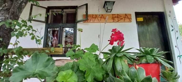 Vila Eva Meduvrsje Exteriör bild