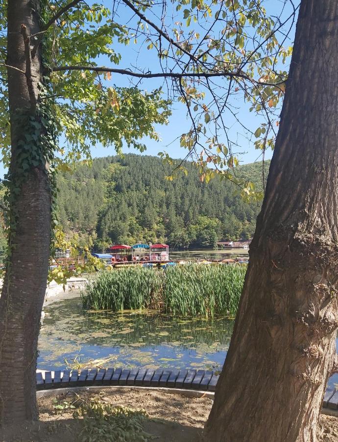 Vila Eva Meduvrsje Exteriör bild