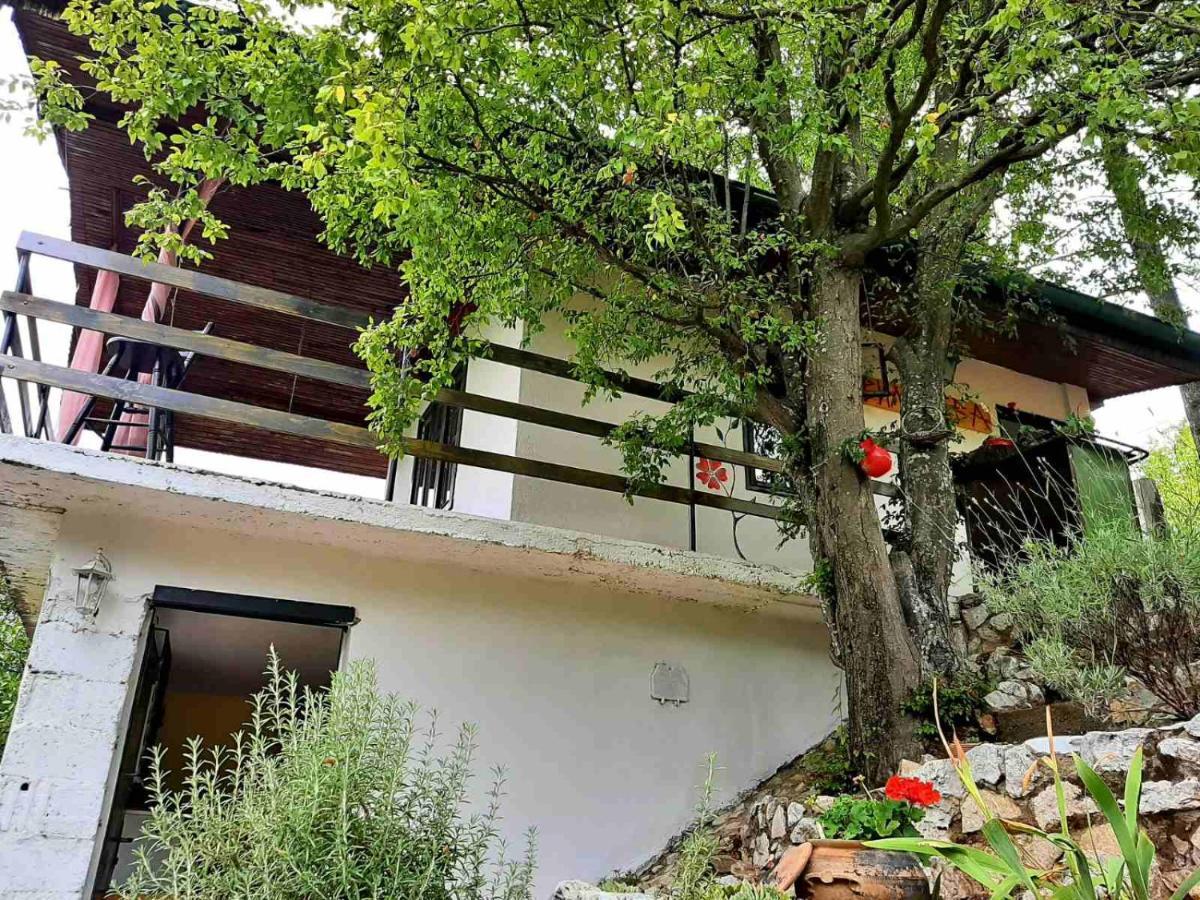 Vila Eva Meduvrsje Exteriör bild